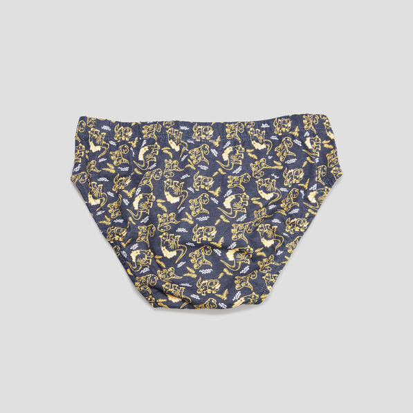 lot 5 slips coton jaune garcon Lot 5 slips coton jaune garçon