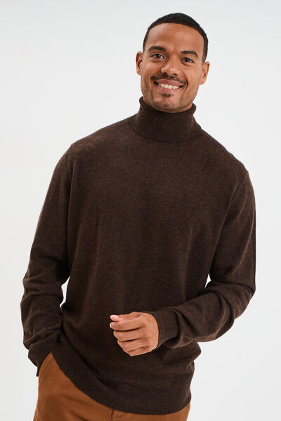 Pull col roul&eacute; manches longues marron fonc&eacute; homme