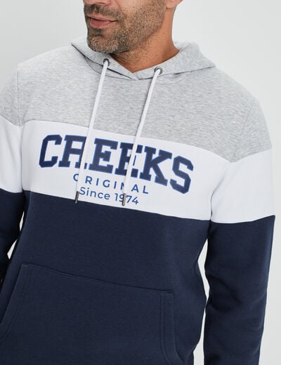 Sweat à capuche hoodie Creeks gris homme