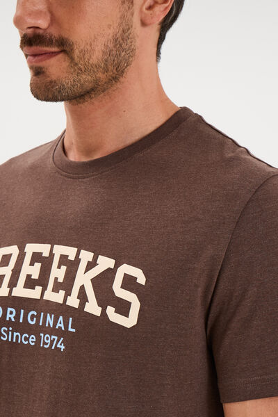 T-shirt manches courtes coton marron chocolat homme