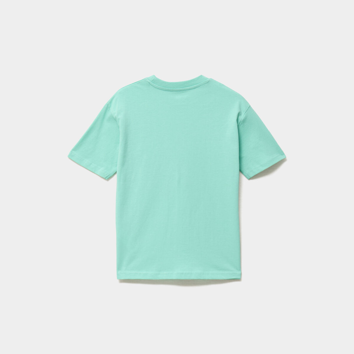 Lot 3 t-shirts manches courtes coton vert clair gar&ccedil;on
