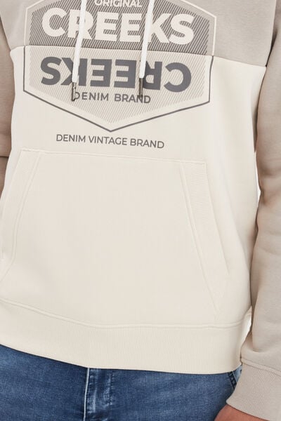 Sweat molleton &agrave; capuche hoodie gris clair homme