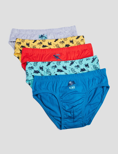 Lot 5 slips bleu marine gar&ccedil;on