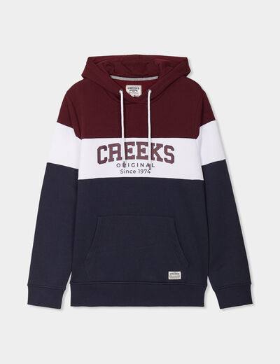 Sweat à capuche hoodie Creeks prune homme
