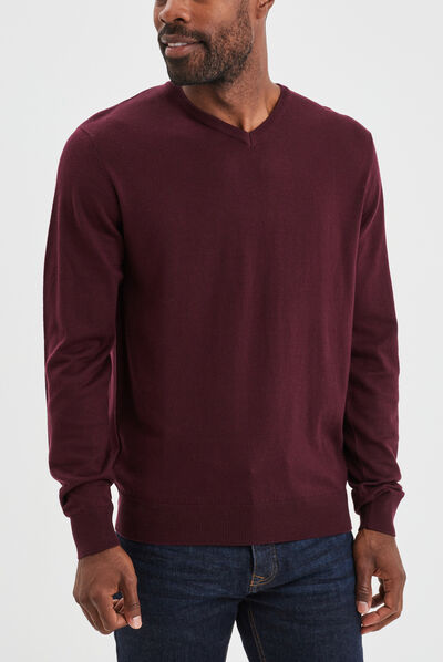 Pull avec col en V prune homme