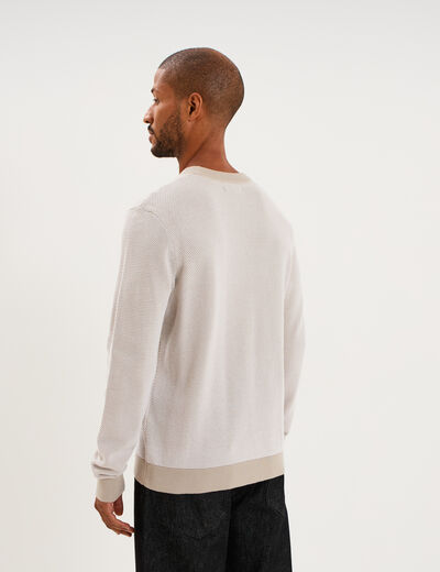 Pull col rond manches longues gris clair homme