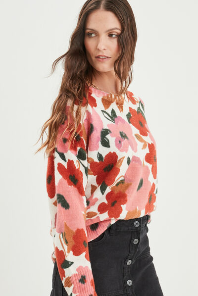 Pull col rond manches longues multicolore femme