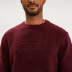 Pull col rond manches longues prune homme