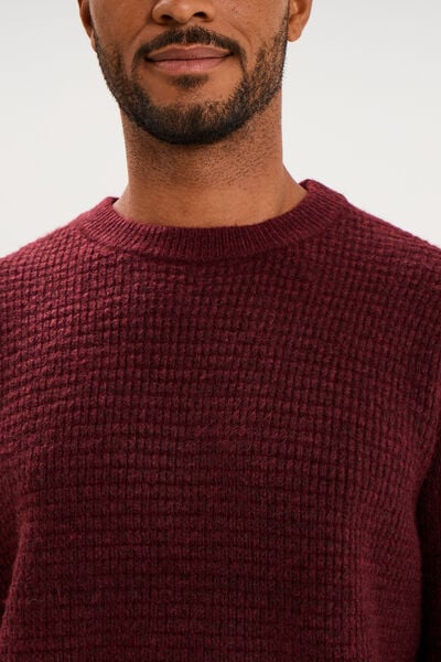 Pull col rond manches longues prune homme