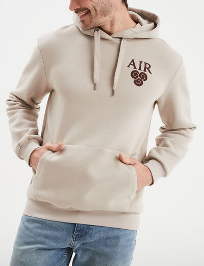 Sweat à capuche hoodie Avatar sable homme