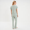 Ensemble pyjama t-shirt pantalon coton vert pastel femme