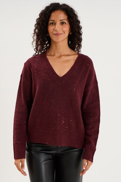 Pull droit &agrave; sequins et col en V prune femme