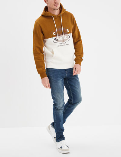 Sweat à capuche hoodie Creeks colorbloc marron homme