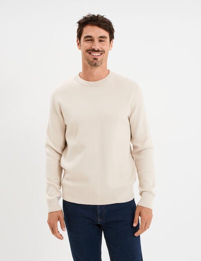 Pull col rond manches longues beige homme