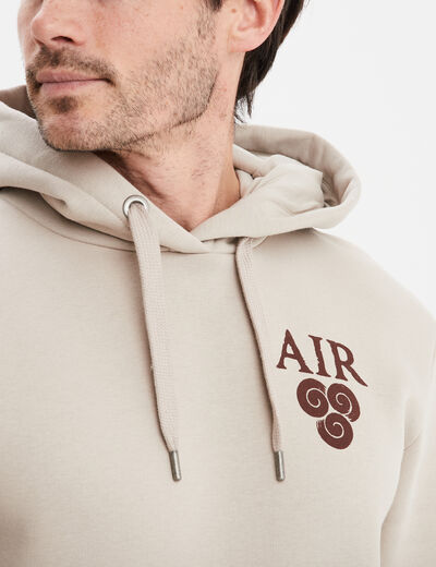 Sweat à capuche hoodie Avatar sable homme