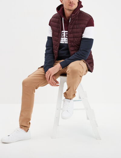 Sweat à capuche hoodie Creeks prune homme