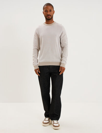 Pull col rond manches longues gris clair homme
