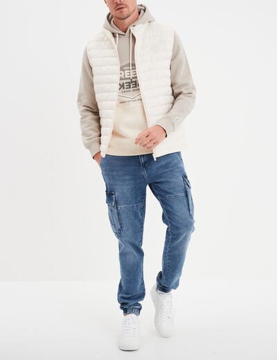 Sweat à capuche hoodie Creeks gris clair homme