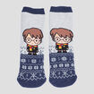 Chaussettes Harry Potter multicolore garçon