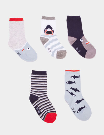 Lot 5 paires chaussettes multicolore garçon
