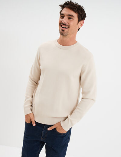 Pull col rond manches longues beige homme