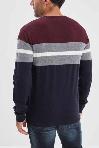 Pull col rond manches longues multicolore homme