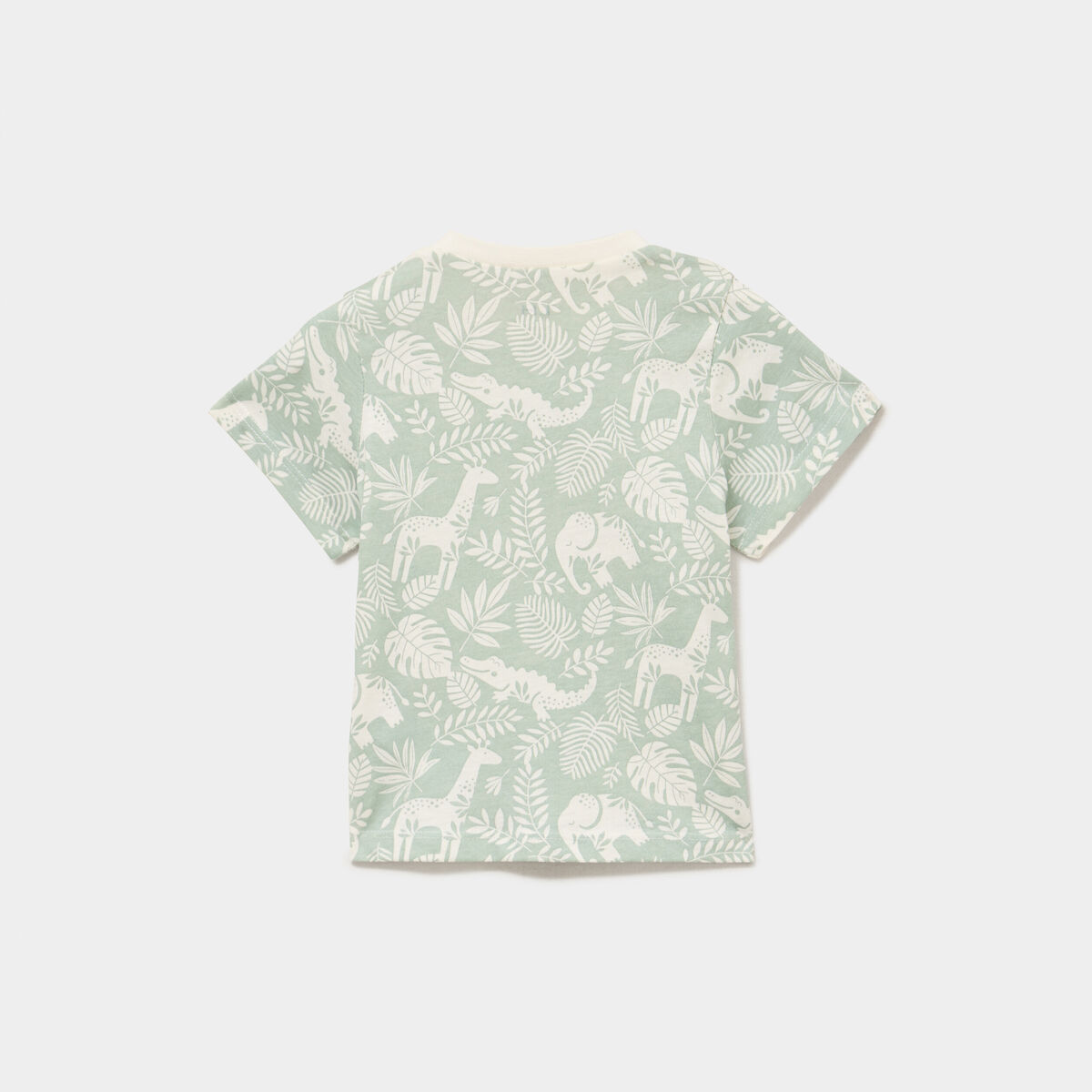 T-shirt manches courtes coton vert pastel b&eacute;b&eacute; gar&ccedil;on