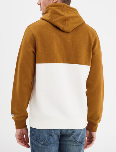 Sweat à capuche hoodie Creeks colorbloc marron homme