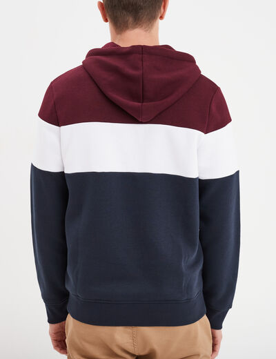 Sweat à capuche hoodie Creeks prune homme