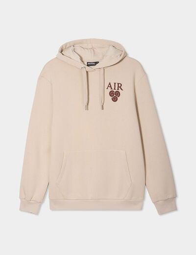 Sweat à capuche hoodie Avatar sable homme