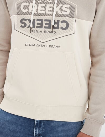 Sweat à capuche hoodie Creeks gris clair homme
