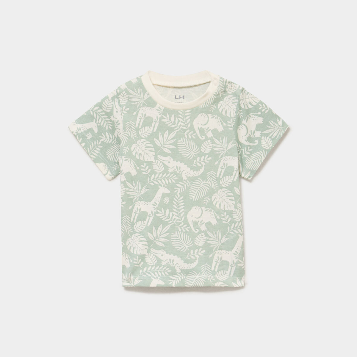 T-shirt manches courtes coton vert pastel b&eacute;b&eacute; gar&ccedil;on
