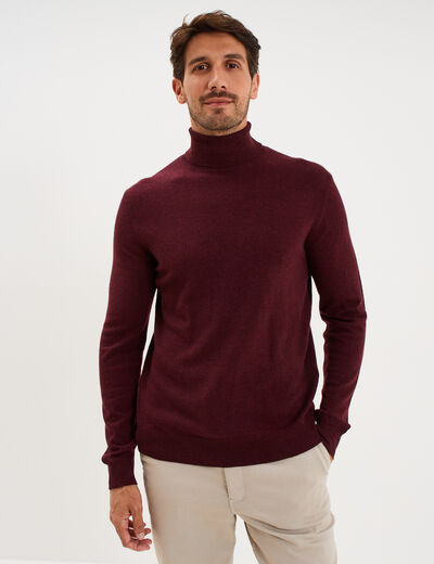 Pull col roul&eacute; manches longues violet fonc&eacute; homme