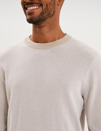 Pull col rond manches longues gris clair homme