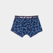 Lot 3 boxers coton bleu garçon