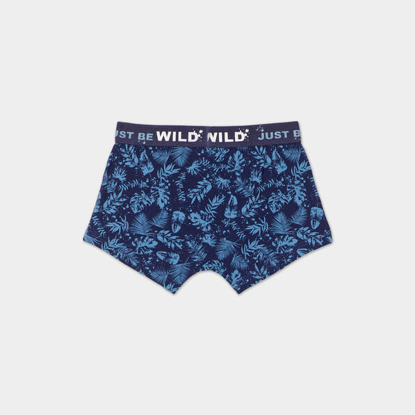 Lot 3 boxers coton bleu garçon