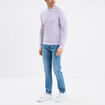 Pull en maille textur&eacute;e col rond parme homme