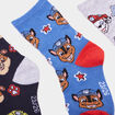 Lot 3 paires chaussettes Pat Patrouille multicolore garçon