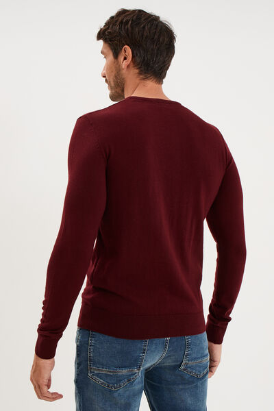 Pull jersey avec col en V violet fonc&eacute; homme