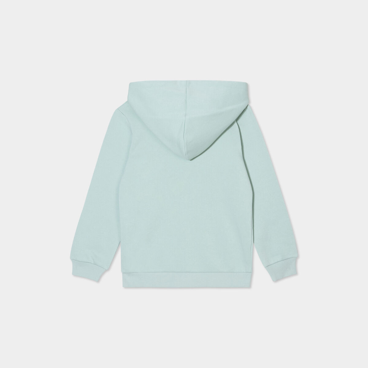 Sweat zipp&eacute; &agrave; capuche molleton vert pastel gar&ccedil;on