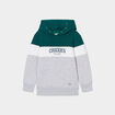 Sweat à capuche hoodie Creeks vert foncé garçon