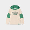 Sweat à capuche hoodie Pokémon sable garçon
