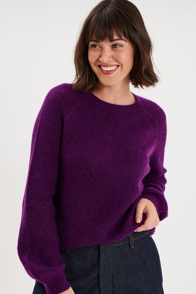 Pull col rond manches longues violet fonc&eacute; femme