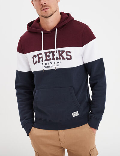 Sweat à capuche hoodie Creeks prune homme