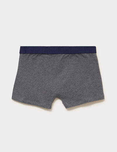 Lot 3 boxers coton majoritaire gris homme
