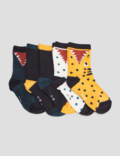 Lot 5 paires chaussettes multicolore garçon
