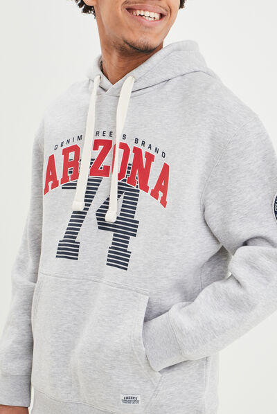 Sweat à capuche hoodie Creeks gris homme