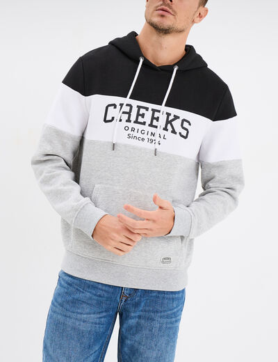Sweat à capuche hoodie Creeks gris homme