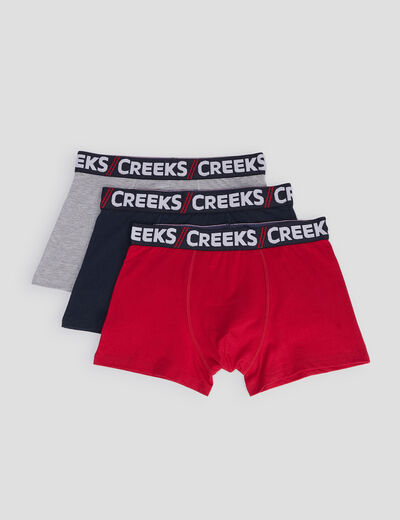 Lot 3 boxers coton Creeks multicolore homme