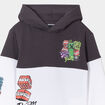Sweat à capuche hoodie Minecraft multicolore garçon